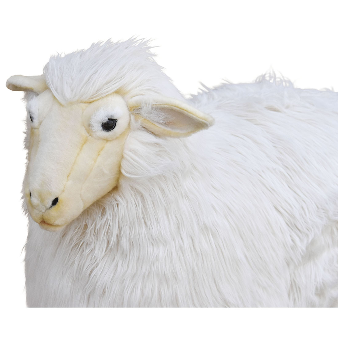 ヒツジ 90 | HANSA
