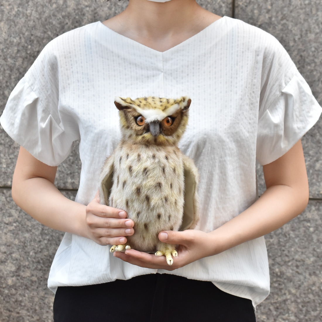 シマフクロウ 26 | HANSA