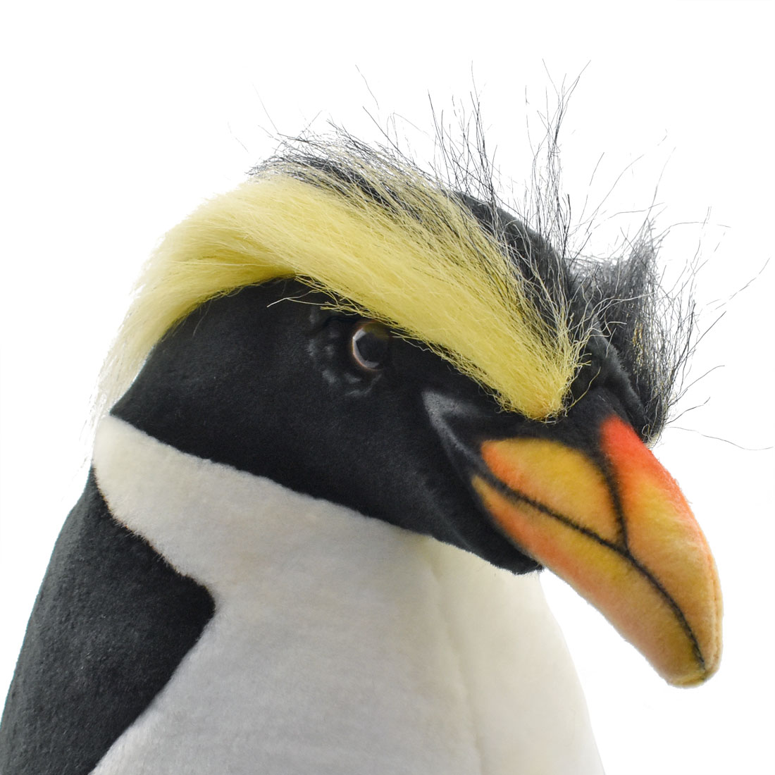 フィヨルドランドペンギン 42 | HANSA