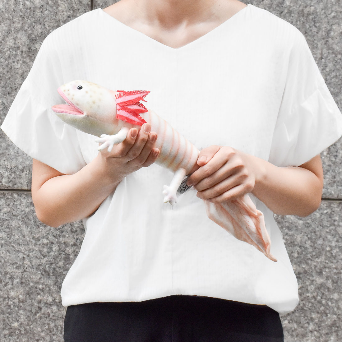 ウーパールーパー 45 | HANSA