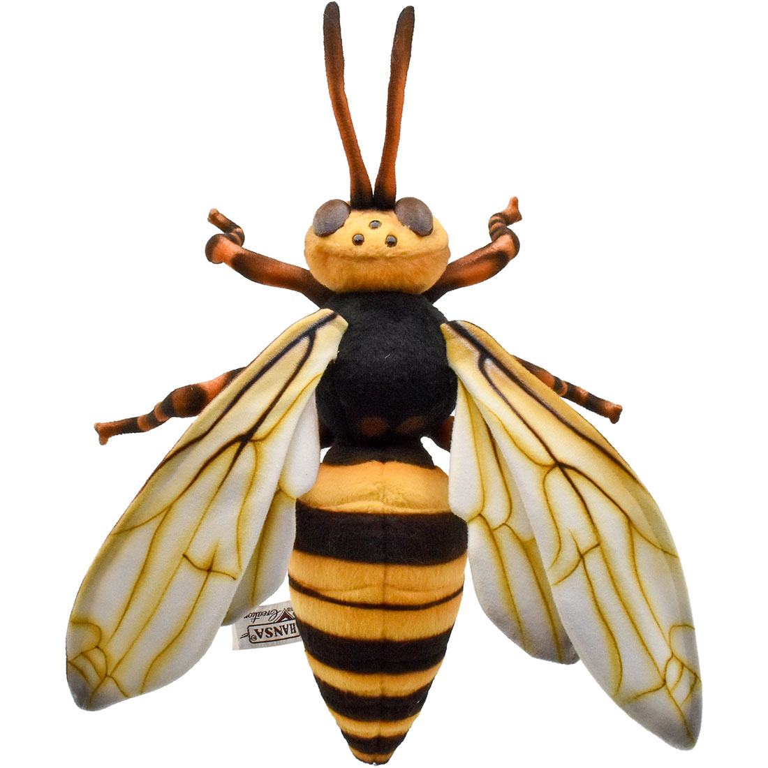 スズメバチ 35 | HANSA