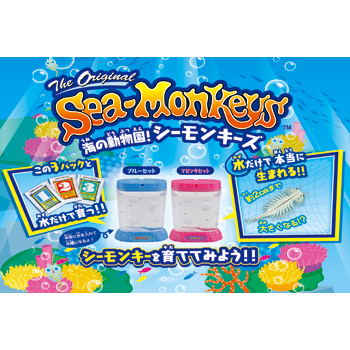 海の動物園！シーモンキーズ｜商品詳細｜おもちゃ屋さんへ行こう
