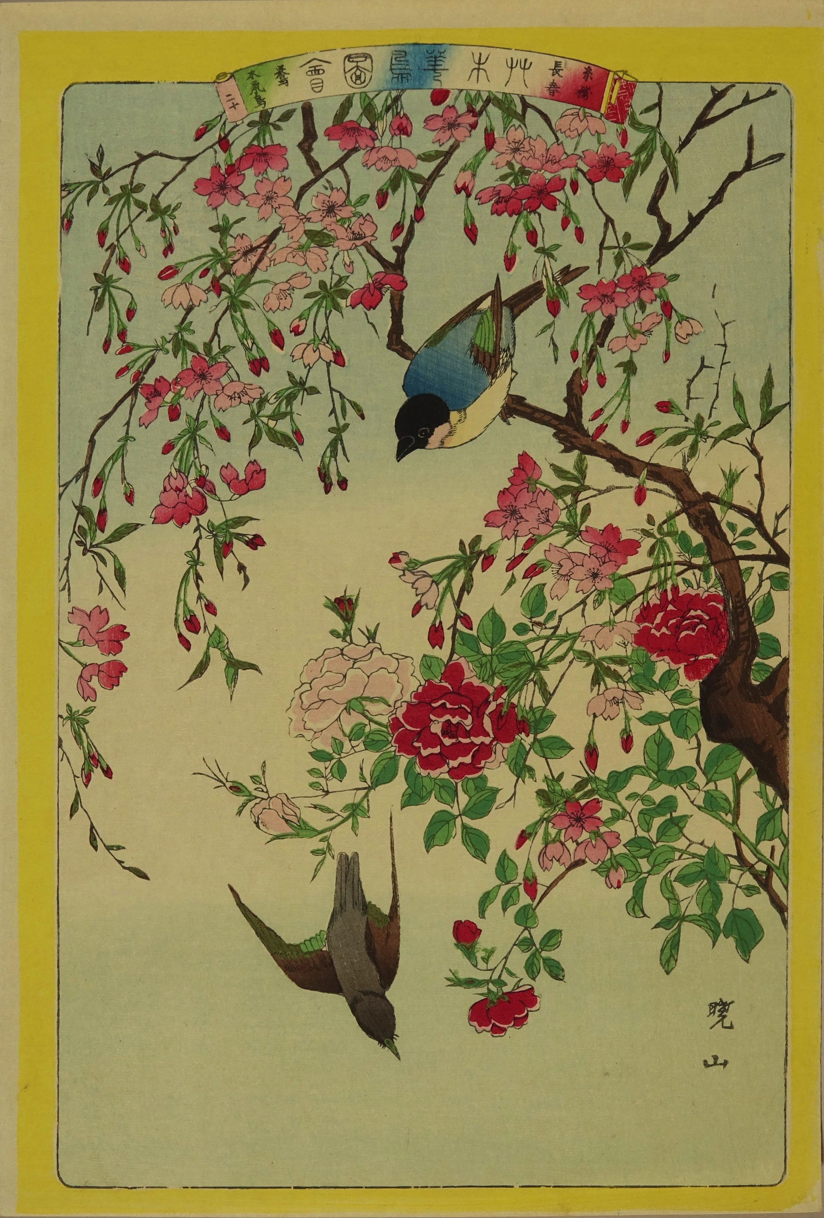 暁山 艸木華鳥図会 二十 鶯 木鼡鳥 糸梅 長春 | 浮世絵 | 原書房 神田