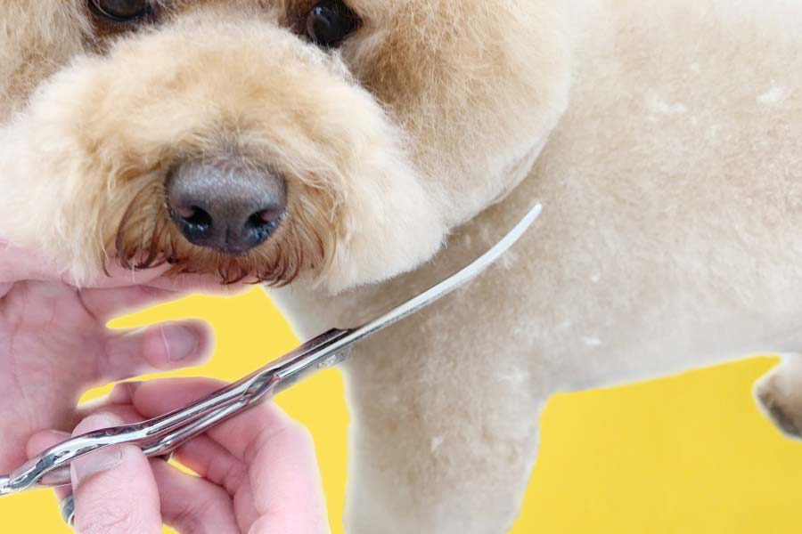 スパスパ快適に切れる理美容師サロン用シザーカットバサミ☀犬猫