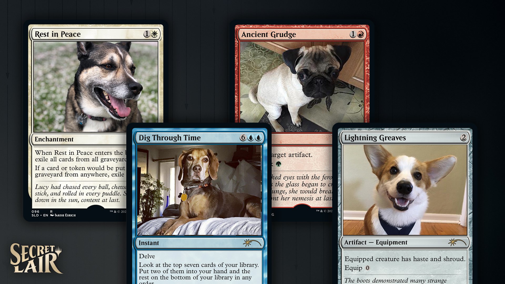 Every Dog Has Its Day