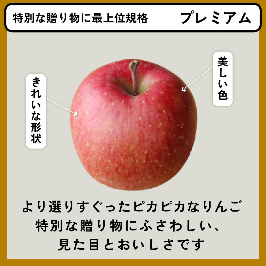 プレミアム3種詰め合わせ（ふじ、王林、シナノゴールド） | 産地直送