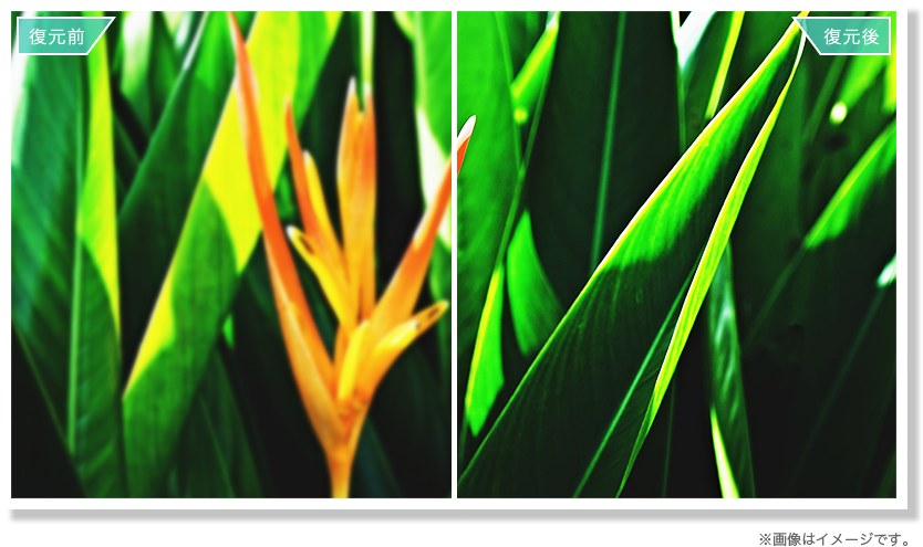 その他の高画質機能 | 50U75F | ハイセンスジャパン株式会社