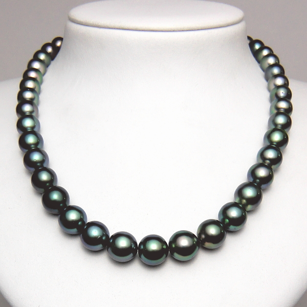 黒蝶真珠 ネックレス ピーコックグリーンカラー 10.8～8.0mm 真珠専門