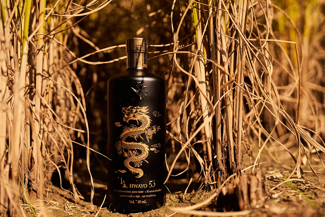Korea's Premium Distilled Soju | Hwayo & Co.
