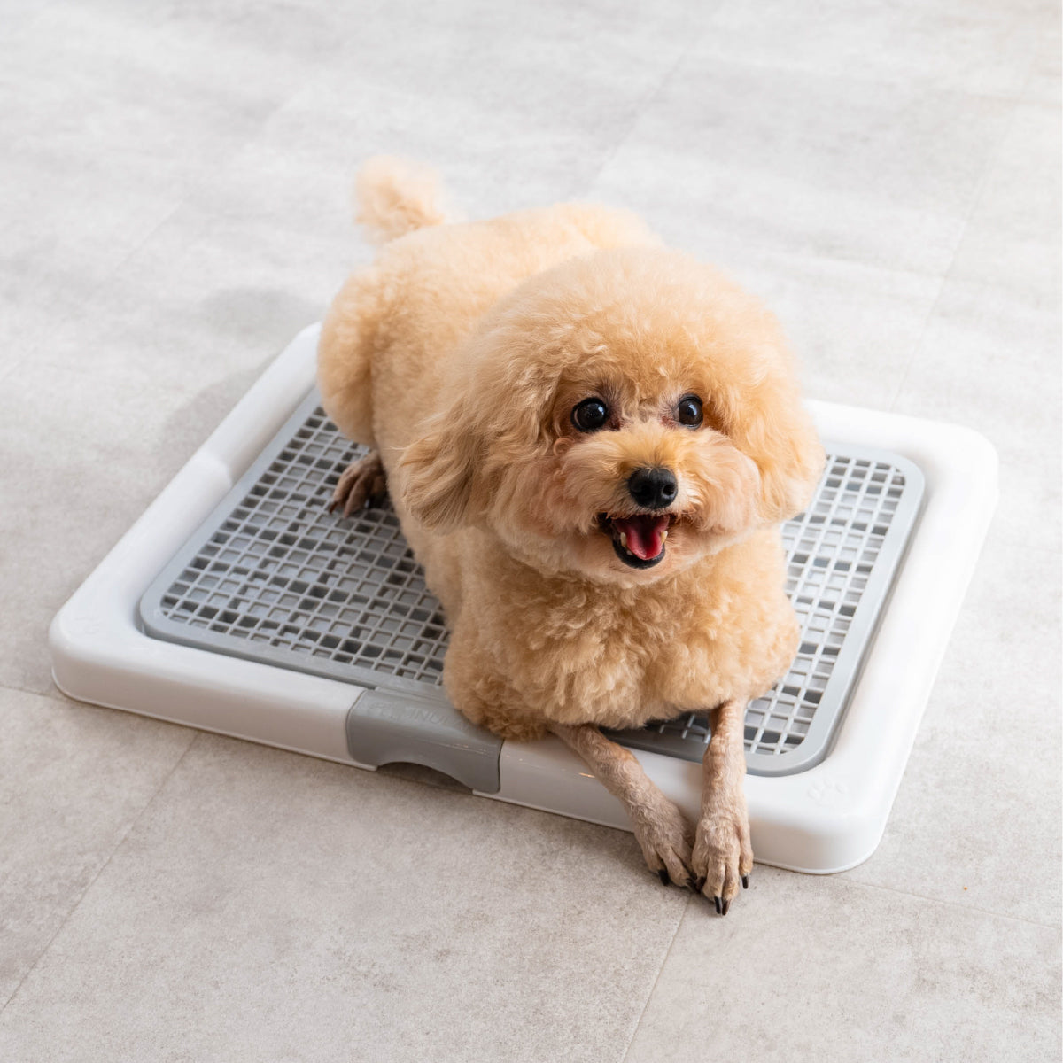 足濡れ0（ゼロ） 高床式 トイレトレー – INULABO公式ショップ