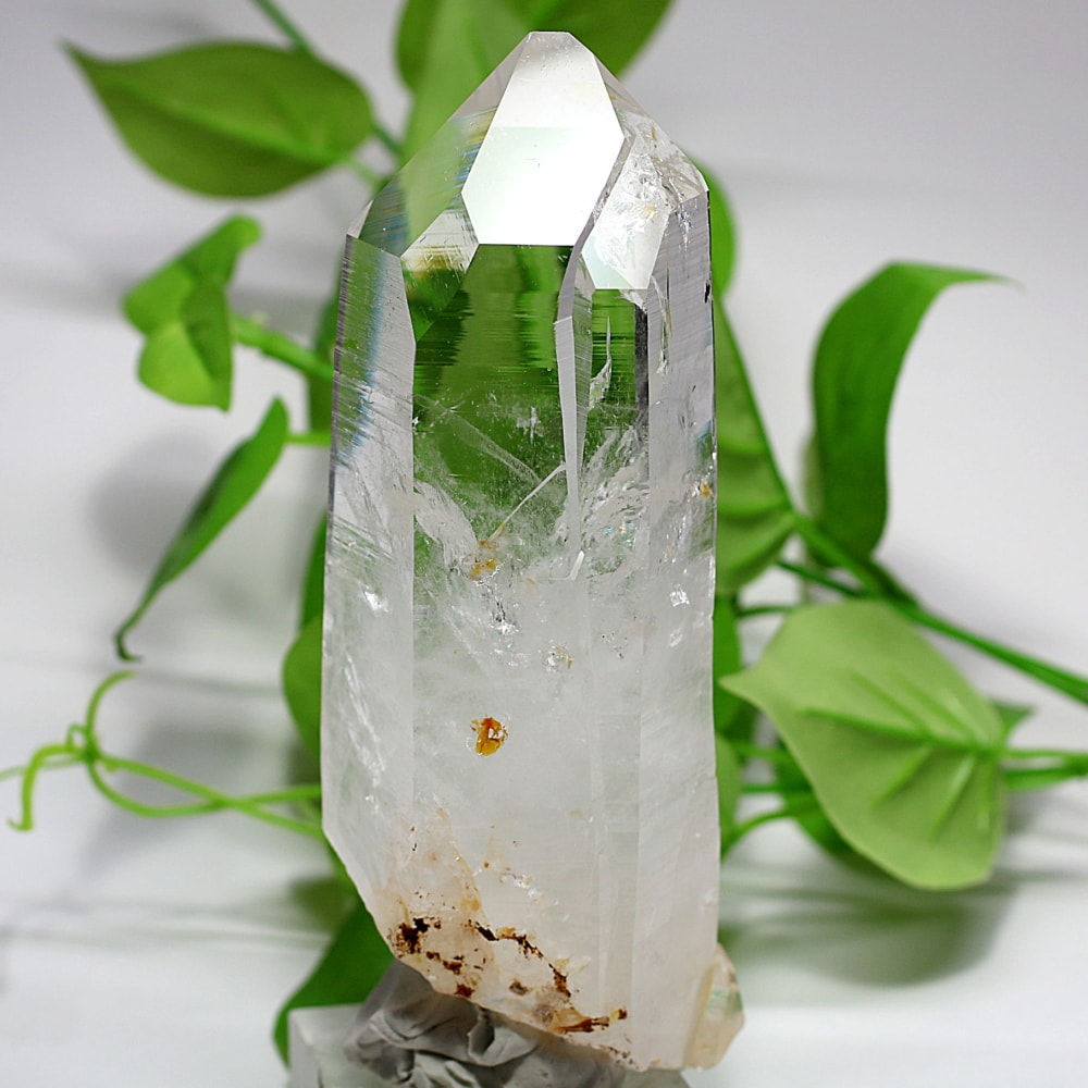 美✨超希少✨AAAAA 特大 コロンビアレムリアン✨my collection✨ 美