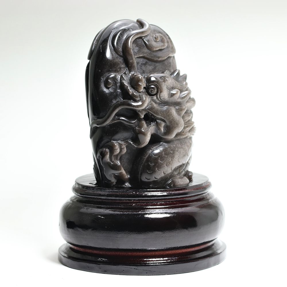 化石 D-15 化石 D-15 Amazon | モノクローム 恐竜化石発掘モデルシリーズ