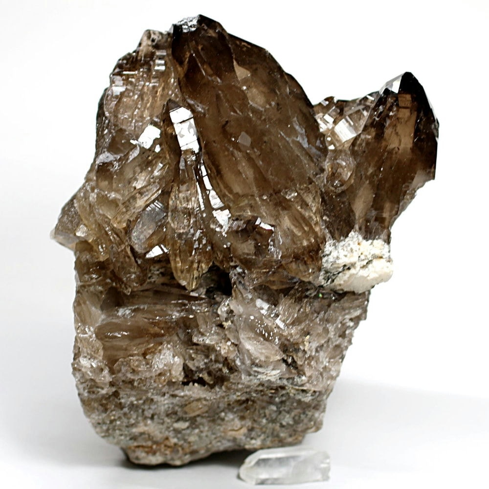 さい トップガウリシャンカール12ムキマーラー さい トップガウリ