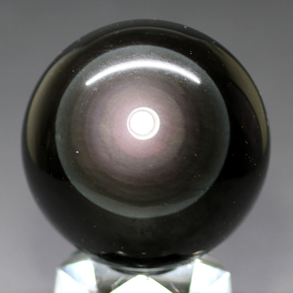 黒い宝石を散りばめたような大型のゴミダマ【標本】 【公式通販】