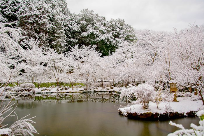 水墨画 雪景色風景画 2月朝日カルチャー風景画 雪の朝 | すい・