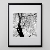 定番品】パブロ・ピカソ 「ダチョウ」ブラックフレーム｜ポスター