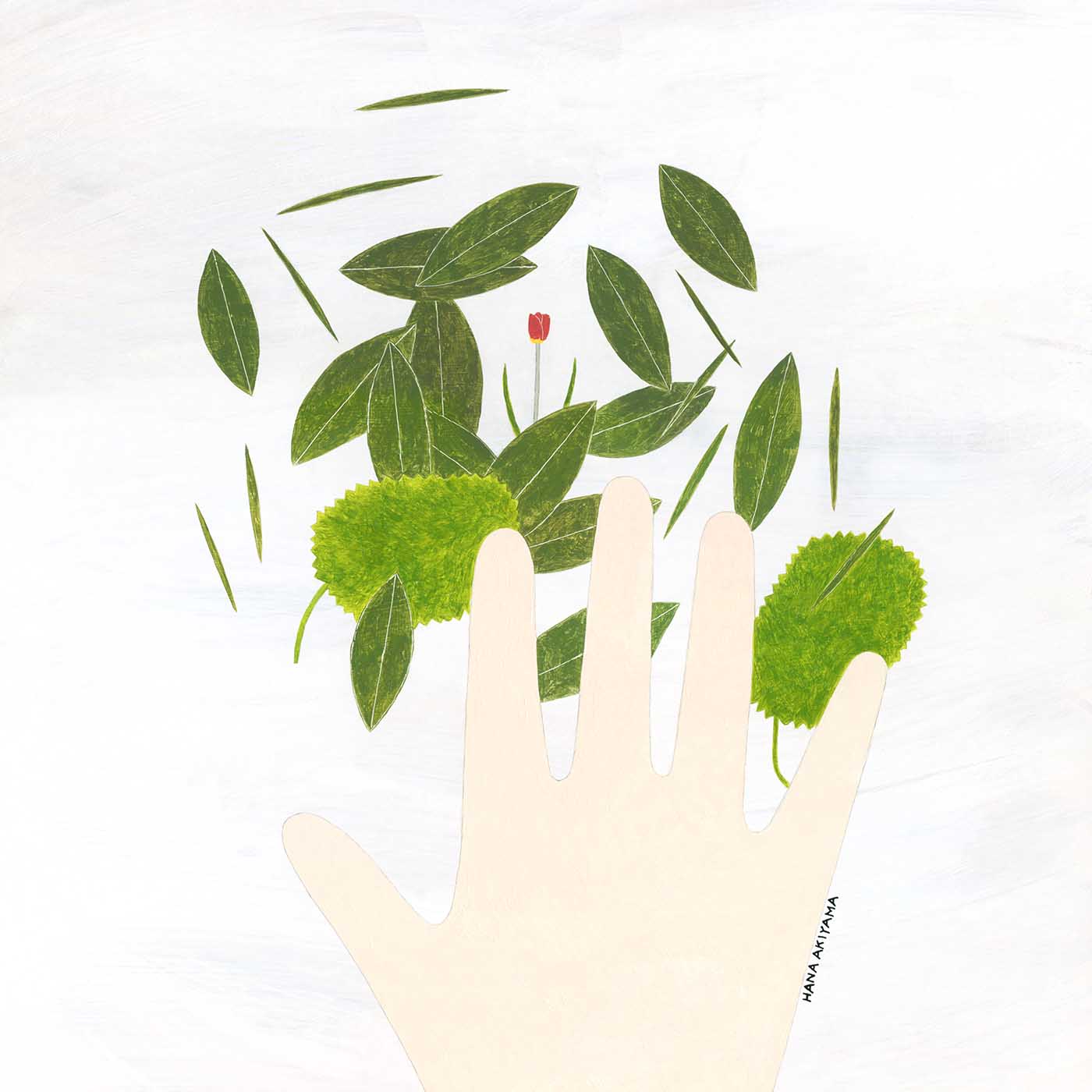 秋山花 作品展（自由が丘） | NEWS | IDÉE