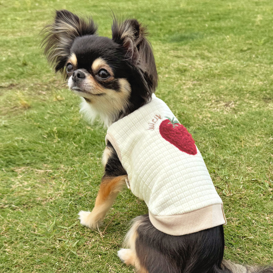 半額以下】itdogs. アイスクリーム刺繍の犬服 半額以下】itdogs