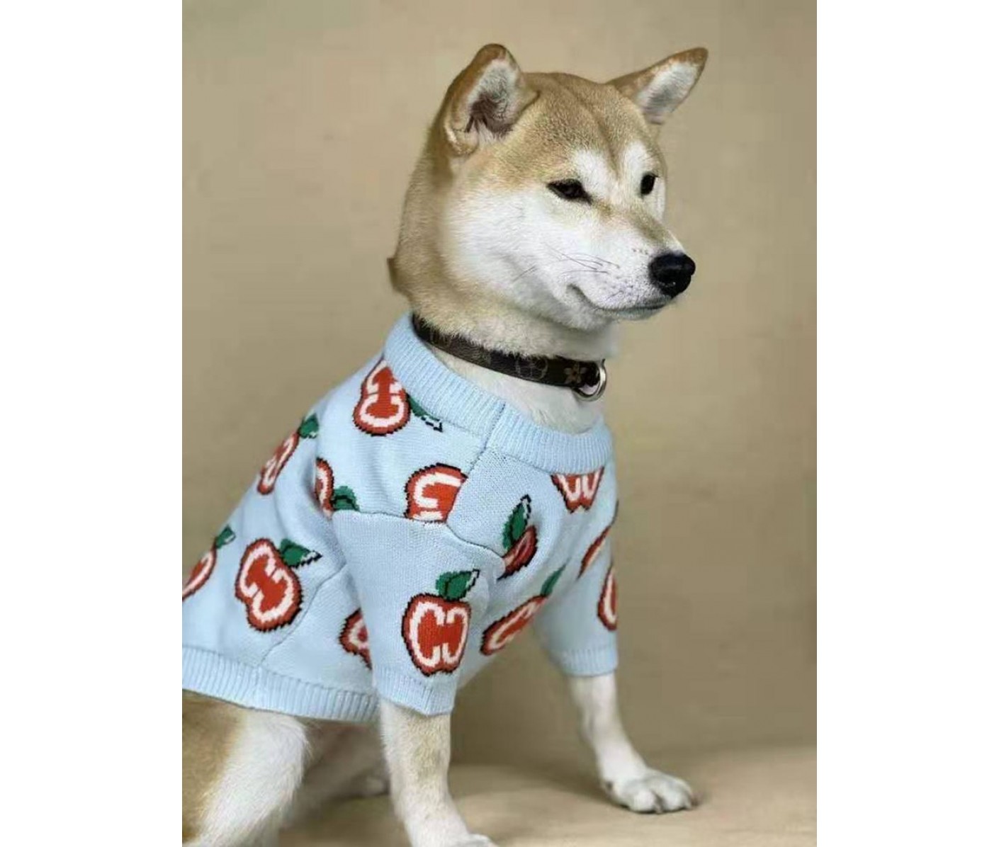 GUCCI(グッチ) ペット(犬猫)服(ライフスタイル) - 海外通販のBUYMA