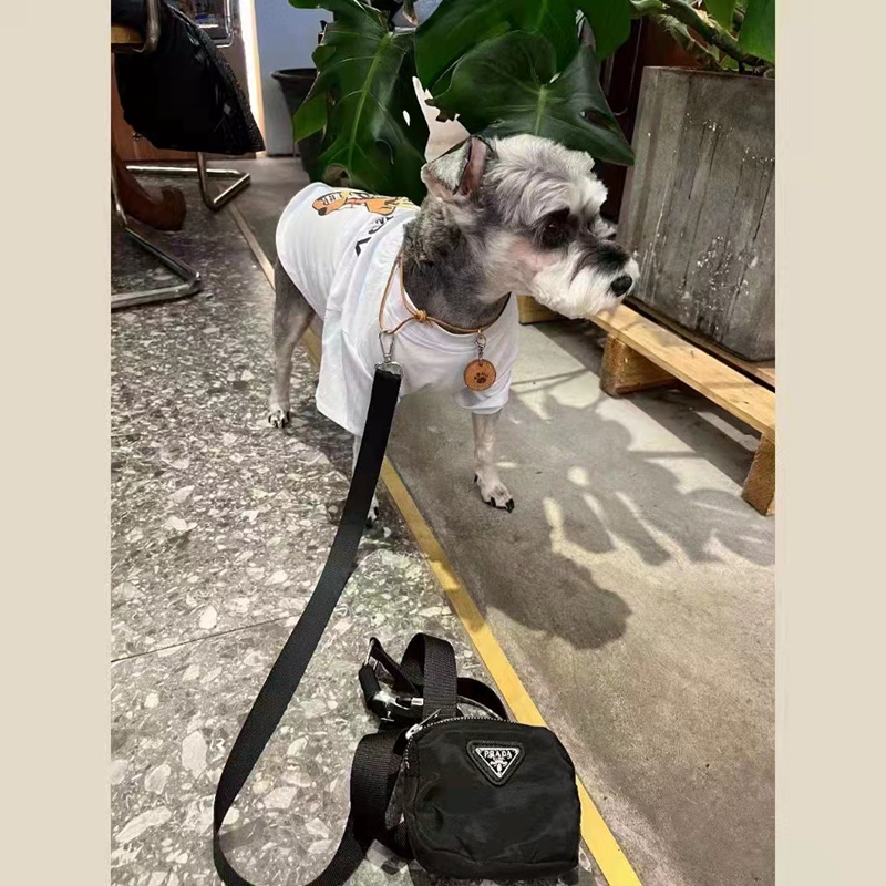 PRADA 犬用リードとカラーのセット Prada ペット カラー お散歩リード