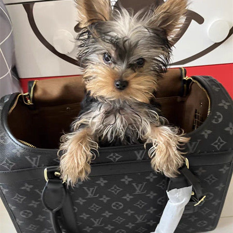ブランド lv 犬用品 キャリー バッグ ルイヴィトン ペットのキャリー