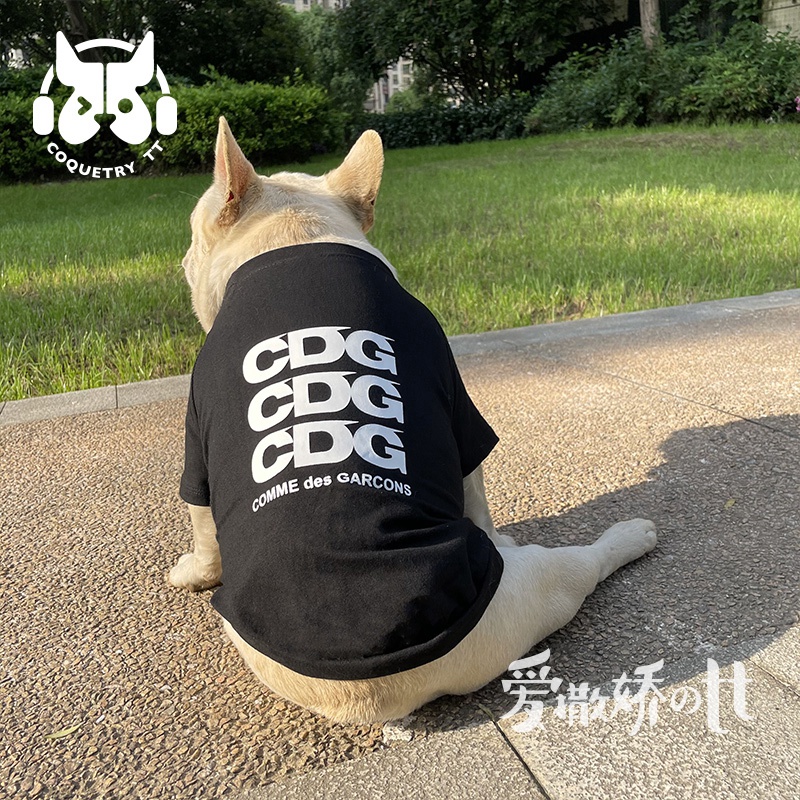 G-G ストライプ犬服 C'est si bon.