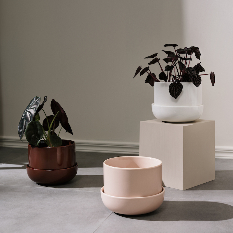 ナップラ プラントポット&ソーサー 170x130mm ベージュiittala/Arabia