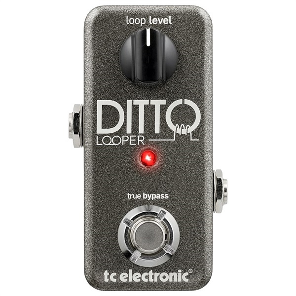 tc electronic DITTO LOOPER（ティーシーエレクトロニック）ルーパー