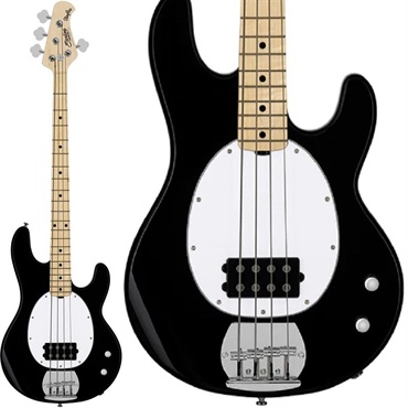 Sterling by MUSICMAN Intro Series Ray2 (Black/Maple) ｜イケベ楽器