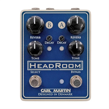 CARL MARTIN PLEXITONE SINGLE CHANNEL（カールマーティン）オーバー