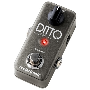 tc electronic DITTO LOOPER（ティーシーエレクトロニック）ルーパー