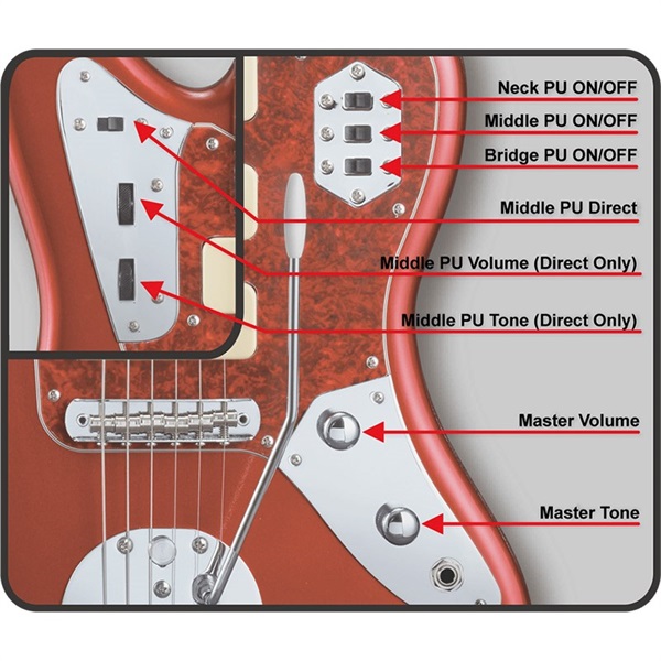 Edwards Platinum E-JG SGZ Custom -JGM- (CAR) [SUGIZO Signature