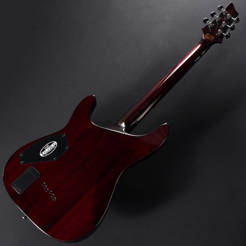 SCHECTER HellRaiser C-1 [AD-C-1-HR] (BCH) ｜イケベ楽器店オンライン