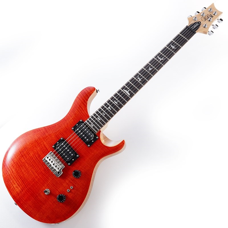 PRS SE Custom 24 セット ケース付 PRS SE Custom 24 セット ケース付