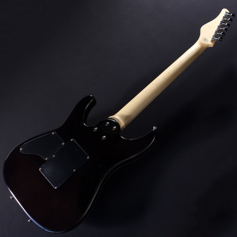 Black Friday 特値] Schecter NV-3-24 AS Black Friday 特値] Schecter