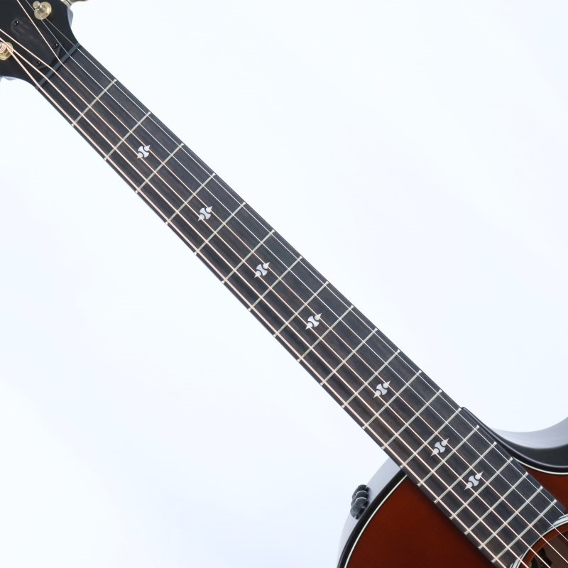 TAYLOR 【数量限定】50th Anniversary Builder's Edition 314ce LTD