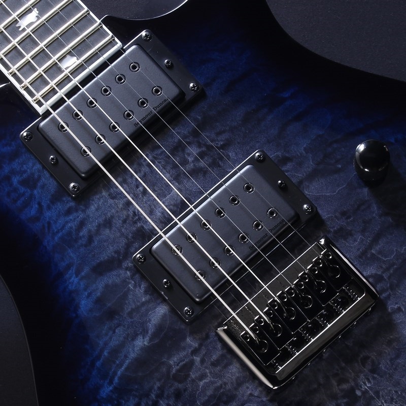 PRS SE Mark Holcomb 6弦仕様 PRS SE Mark Holcomb 6弦仕様 6弦/7弦