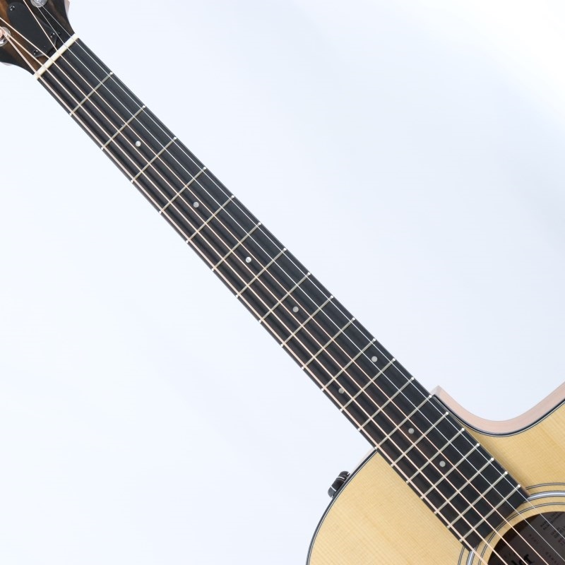 TAYLOR 114ce-S テイラー ｜イケベ楽器店オンラインストア