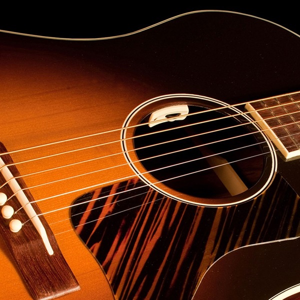 L.R.Baggs Anthem SL [Acoustic Guitar Pickup + Microphone] ｜イケベ