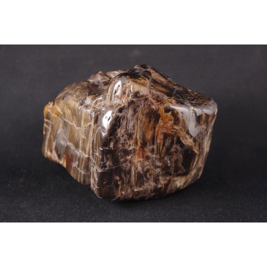 珪化木（木化石）原石磨き 735g 天然石販売 名取貴石 天然石原石