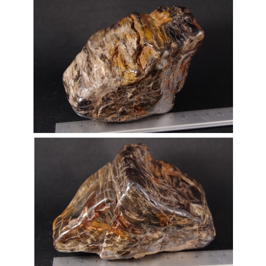 珪化木（木化石）原石磨き 735g 天然石販売 名取貴石 天然石原石