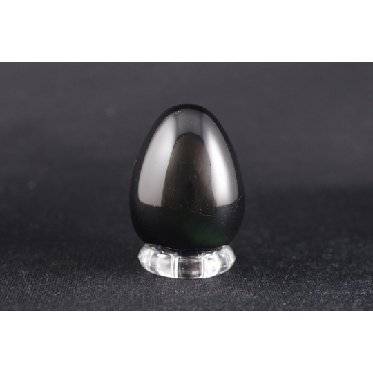 黒い宝石を散りばめたような大型のゴミダマ【標本】 【公式通販】