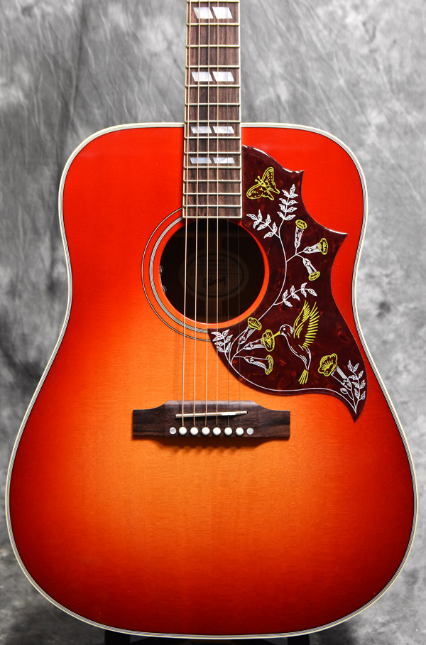 ひとくちにハミングバードと言いましても猫の前に出ていたのがあり