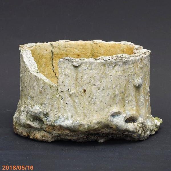 山野草の石田精華園 / 信楽焼 古陶サヤ