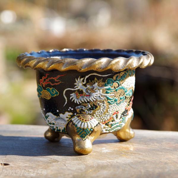 盆栽鉢植木鉢陶芸園芸盆栽