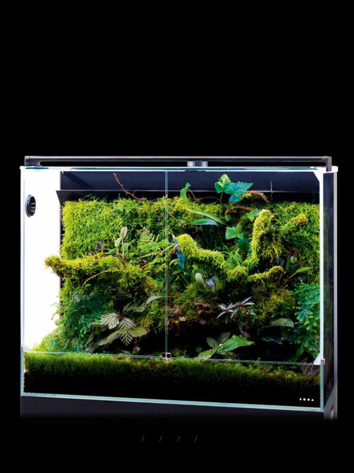 DOOA システムパルダ600の販売 (アクアマリン熊本)