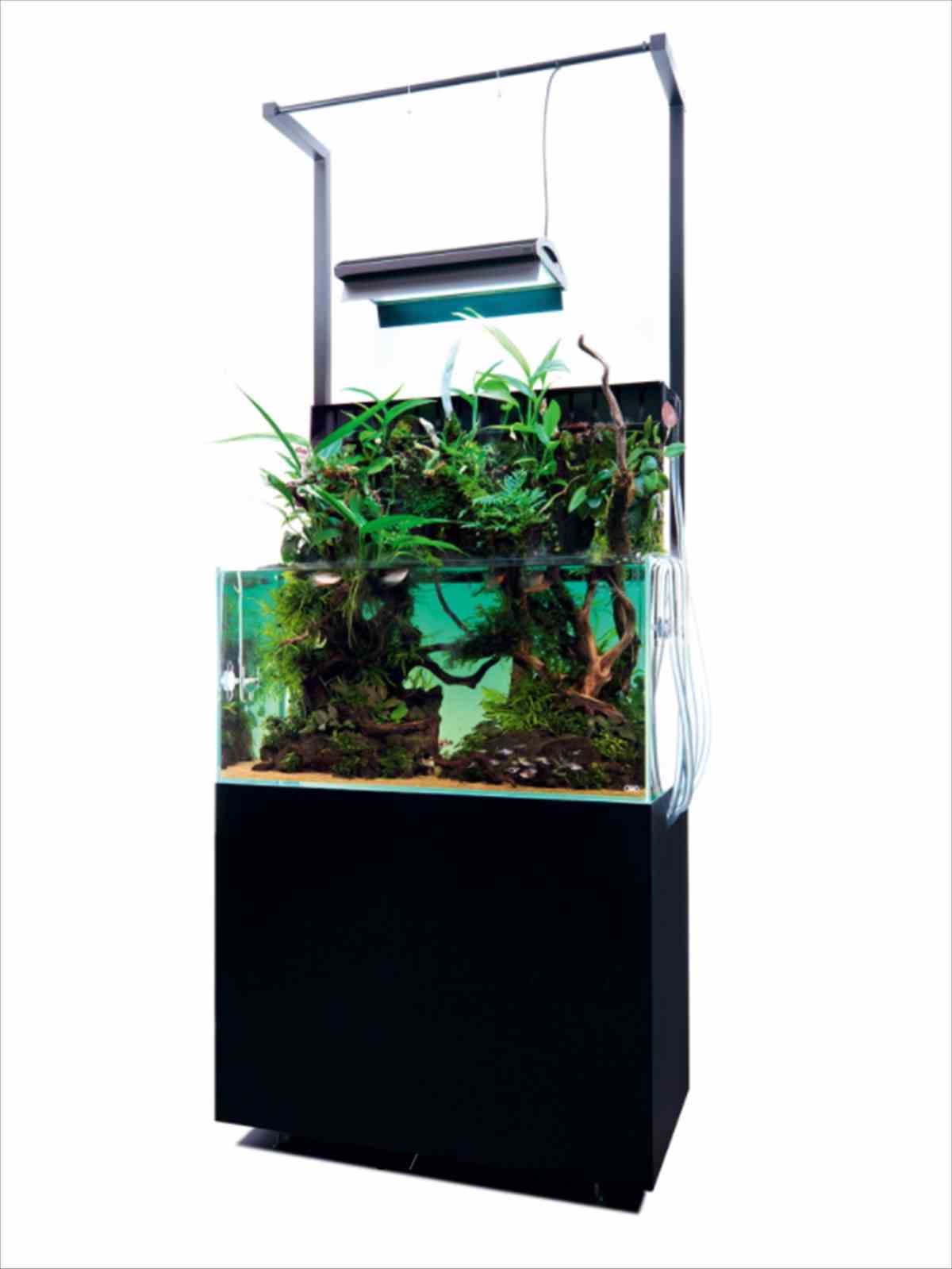 ADA アクアスカイG DOOA侘び草ウォール60 ADA アクアスカイG DOOA侘び