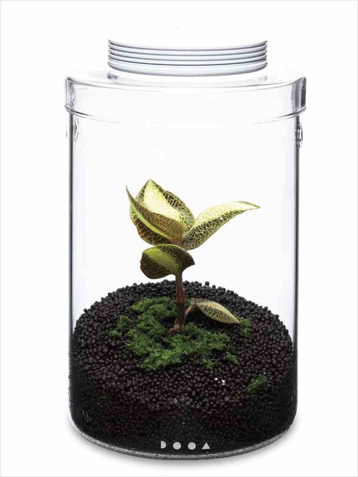 DOOA ガラスポットMARU130の販売 (アクアマリン熊本)