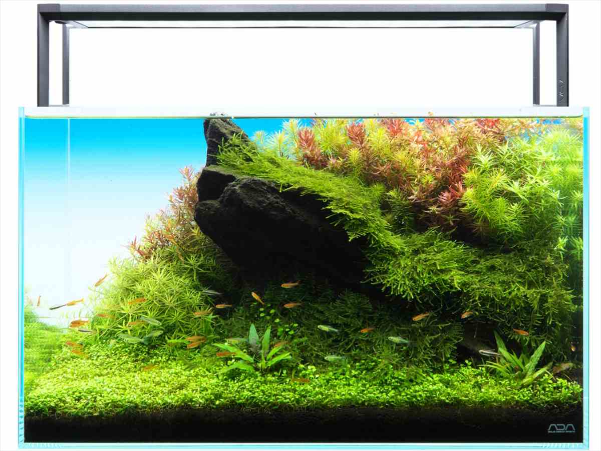 ADA AQUASKY MOON 451 照明器具 2点 スタンドなし ADAアクアスカイ