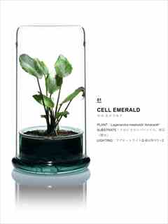 DOOAブランド商品の販売(アクアマリン熊本)